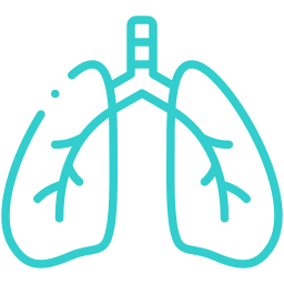 pulmones icon